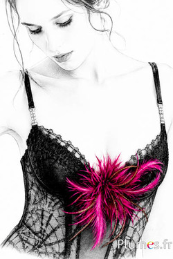 Hahnenkreuz - 8-12 cm - fuchsia